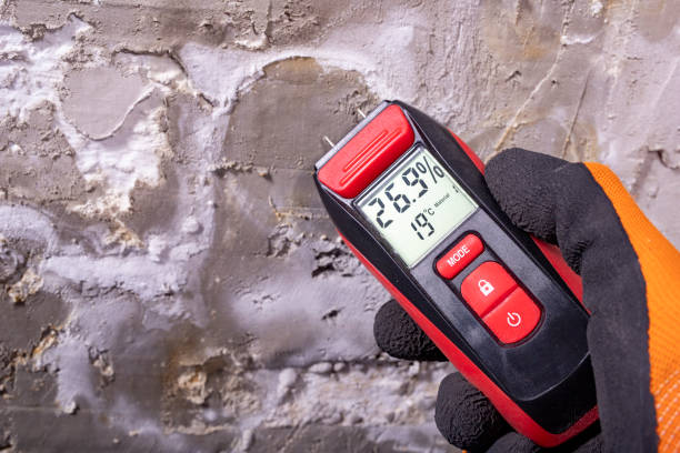 Best Mold Testing  in Oakton, VA