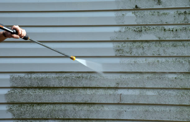 Mold Removal Process in Oakton, VA