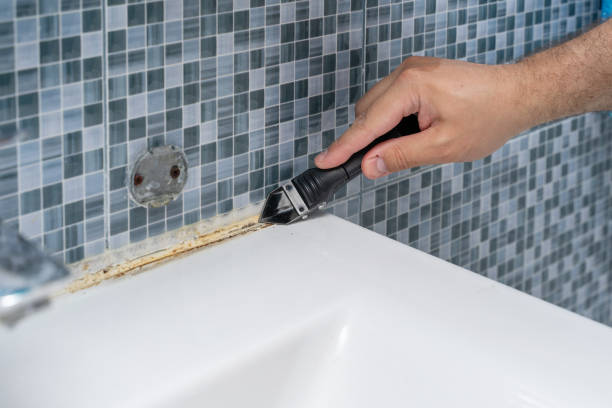 Best Mold Damage Repair  in Oakton, VA