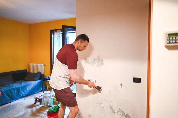 Reliable Oakton, VA Mold Removal Solutions