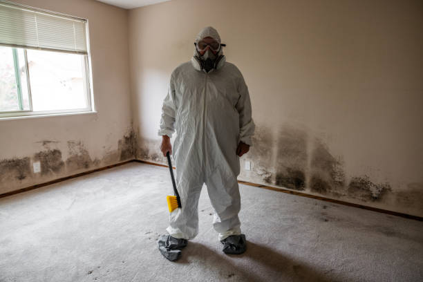 Best Commercial Mold Removal  in Oakton, VA
